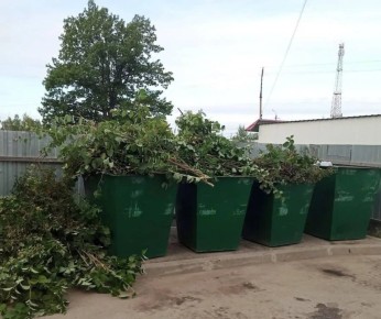 Растительные отходы в России: новые правила утилизации вступают в силу