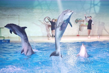 Евгений Люлин исполнил новогоднее желание мальчика из Дзержинска