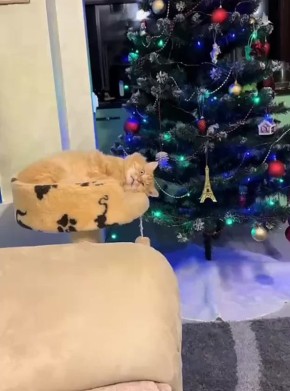 Только вдумайтесь: отдыхать еще семь дней