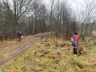 В Нижегородской области в 2025 году пропали 1804 человека