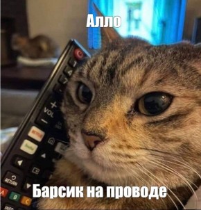 У аппарата: в Нижегородской области оштрафовали операторов связи на 2 миллиона рублей!