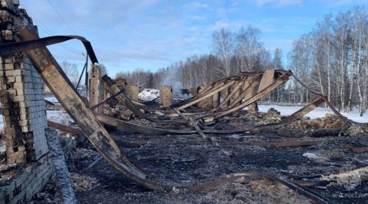В посёлке Старцево Нижегородской области произошел крупный пожар — погибло более 50 голов скота