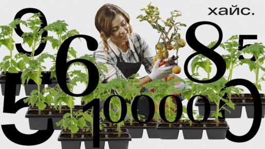 Как накопить на раннюю пенсию в России: советы и стратегии